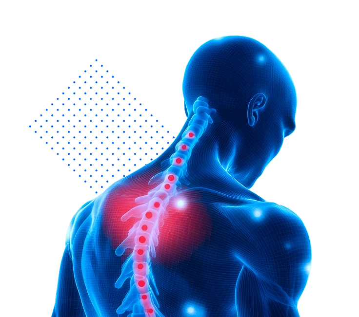 Chiropractic Spine Diagram