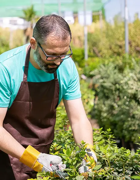 Landscaper working