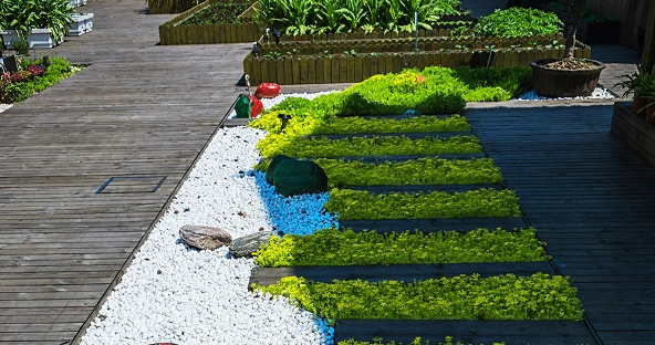 Design-Build Landscaping