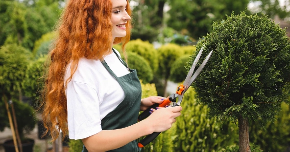 Maintenance Company