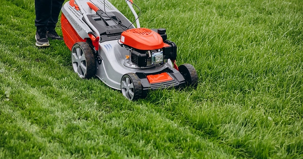 Lawn Care Specialist