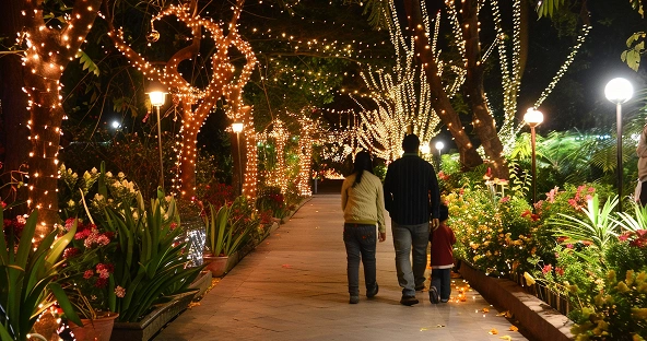 Seasonal and Holiday Lighting